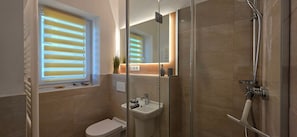 A modern bathroom with a glass shower enclosure, a sink, and a toilet.
