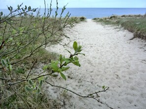 A sandy beach path with sparse vegetation and a view of the ocean.