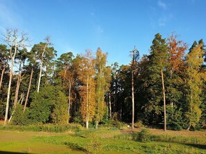 Nicht klassifiziertes Bild, 5 von 17, Schaltfläche
