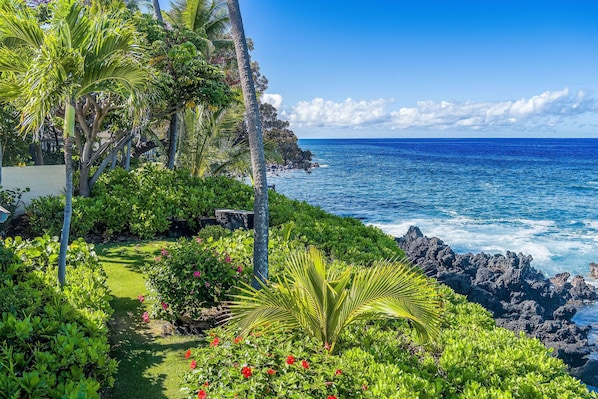 Stroll through a lush garden surrounded by palm trees and vibrant flowers, leading to a rocky coastline with ocean views.
