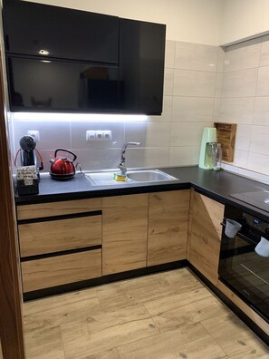 Oven - Lovely apartment for 5 guests with WIFI, pool, TV, patio and pets allowed (Príbram)