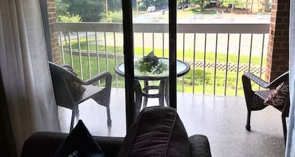 Idyllic Central Raleigh condo-3br/2bath