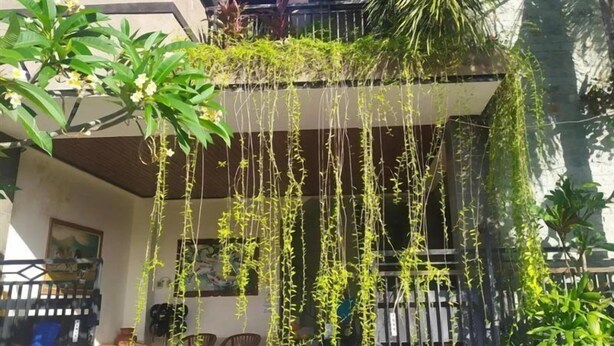 Een gebouw met hangplanten en een balkon.