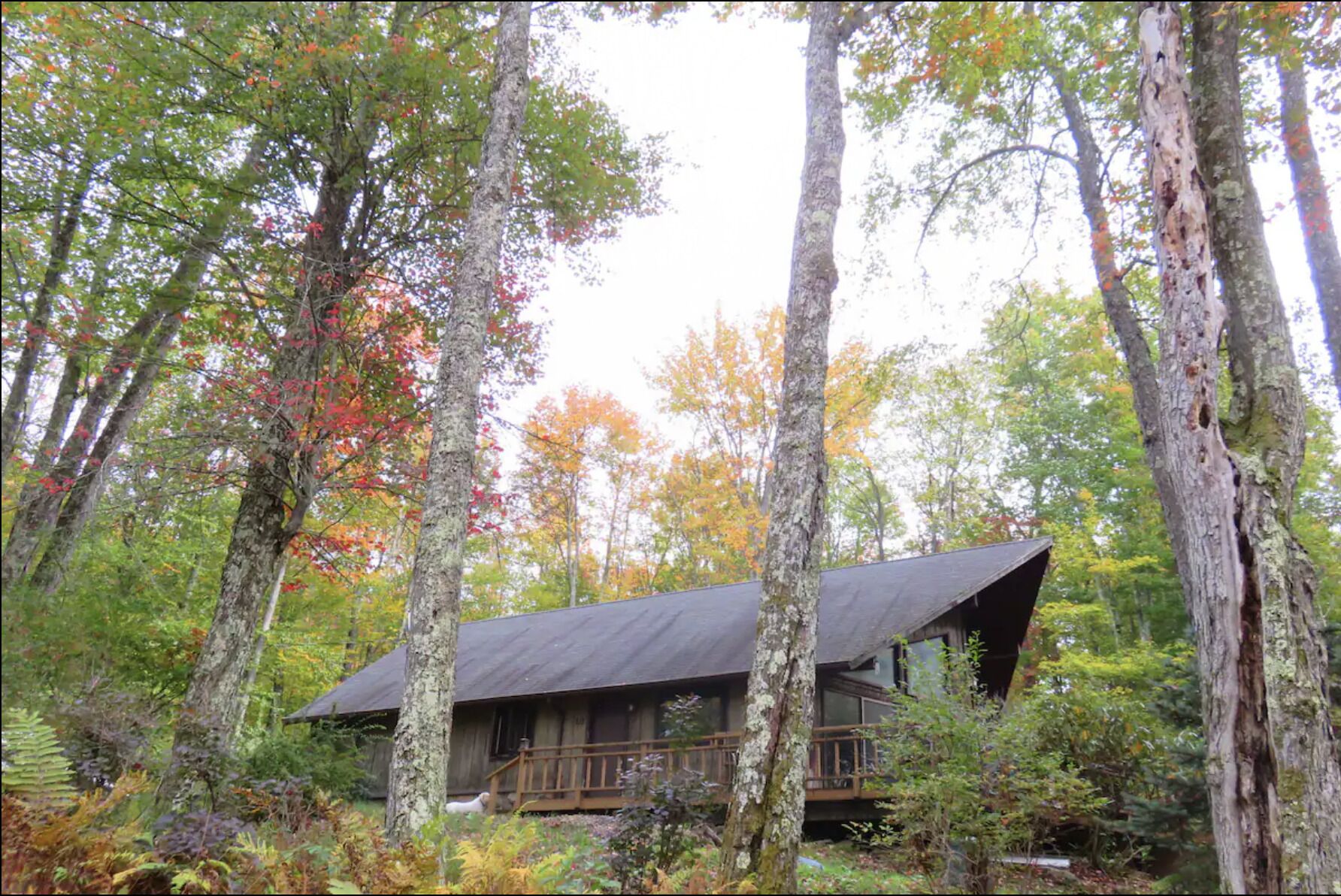 Beautiful Pool and Lake Catskills Getaway
