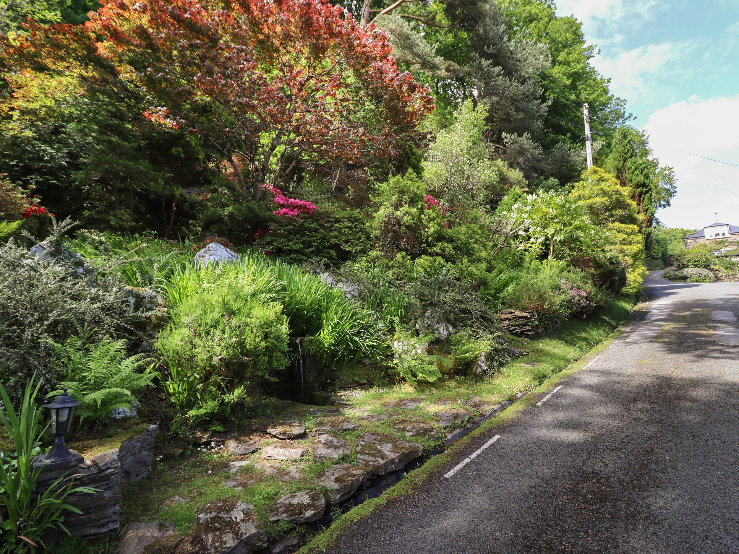 A narrow road flanked by dense vegetation and a stone wall.