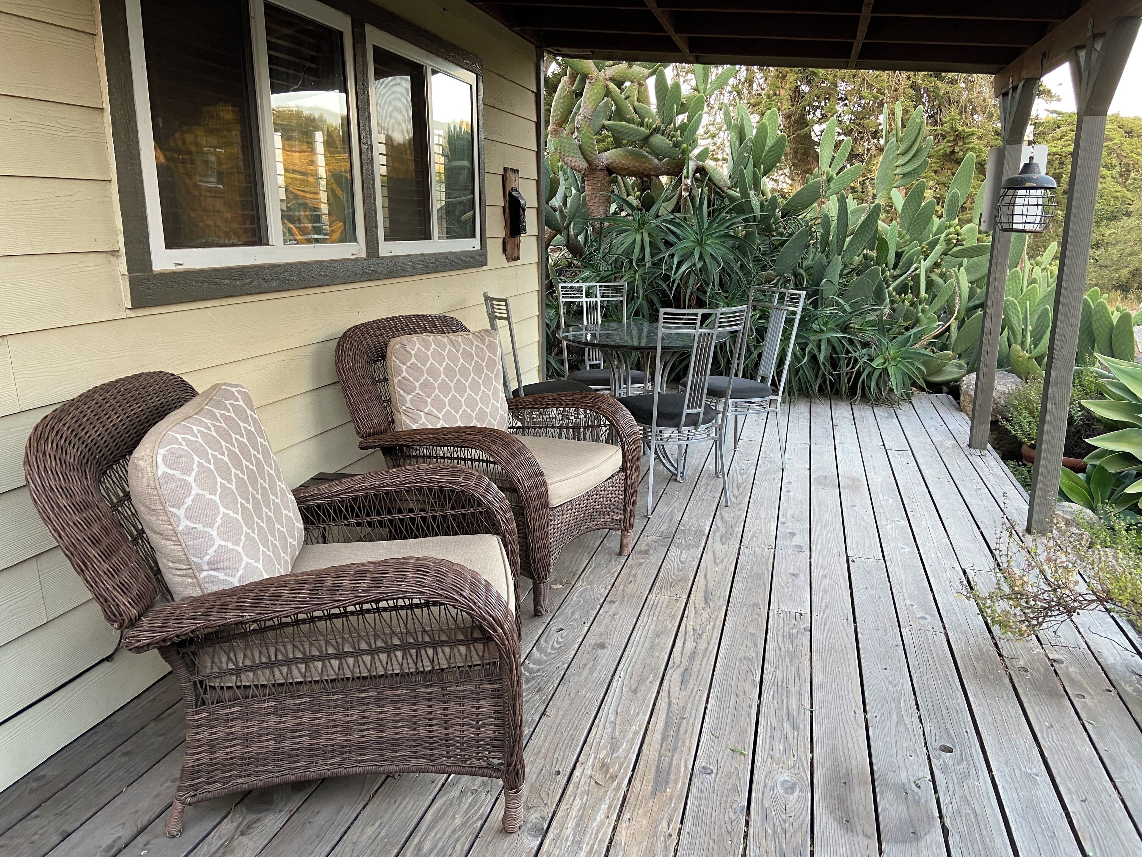 A covered porch with wicker furniture and a table, surrounded by various plants.