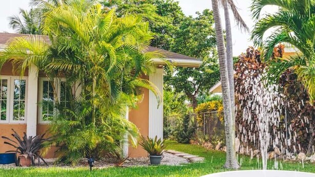 A house with a garden, including a fountain and palm trees.