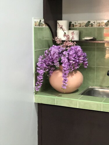 Studio type with kitchen and bathroom