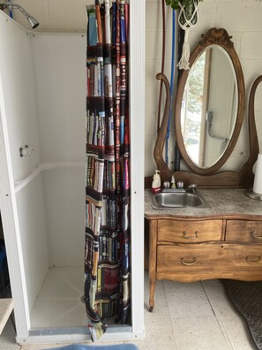 Enjoy a refreshing shower in this bathroom with a book-patterned shower curtain, a vanity with mirror and sink, and a small plant above.