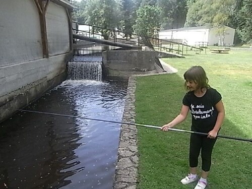 Chalet de plain pied, accès internet et spas, le confort à petit prix