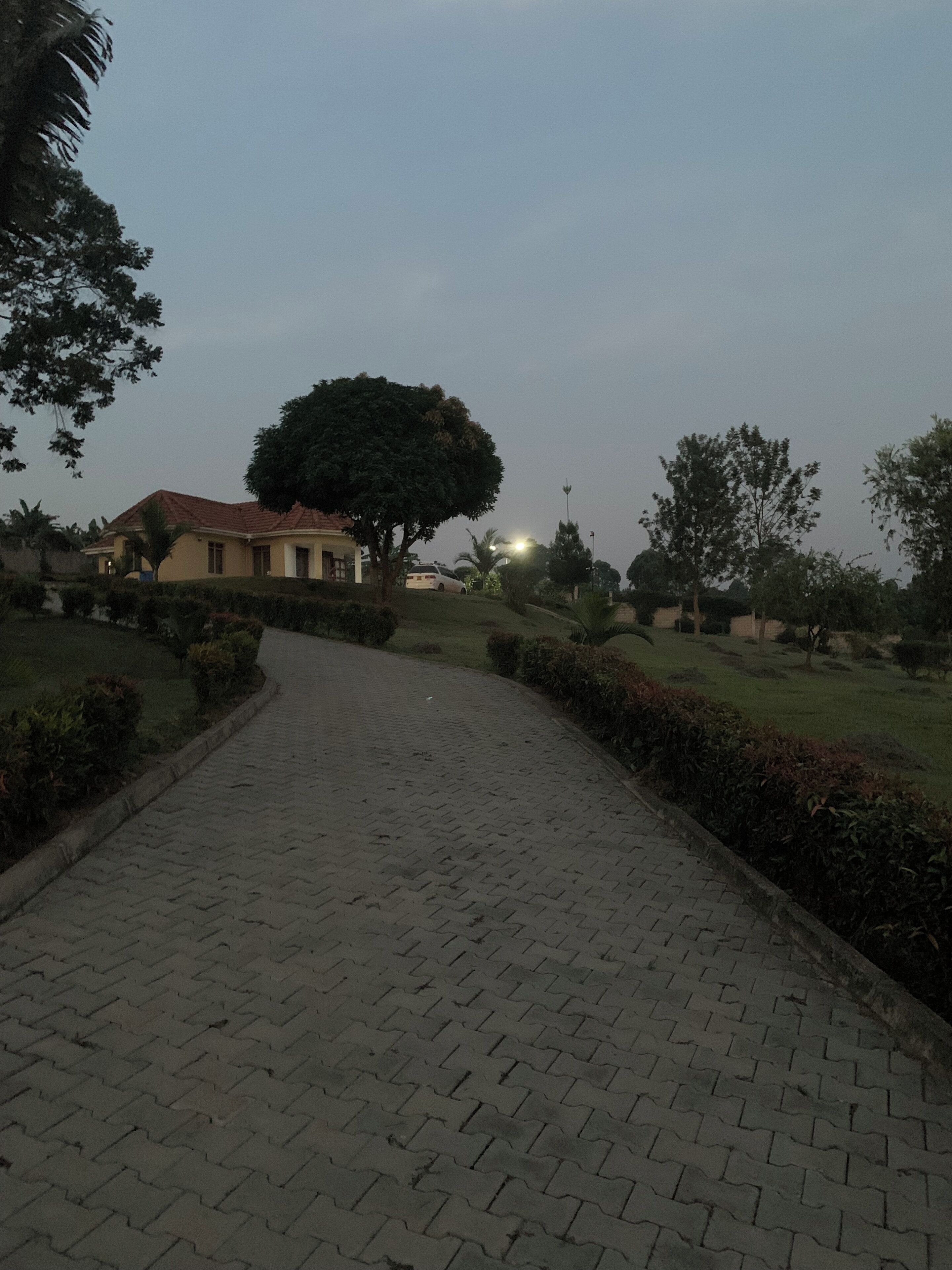 A paved pathway leading to a building with a red roof, surrounded by greenery and trees.