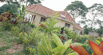 Menvu Village Estate, tucked away just 20 miles from Kampala, Uganda