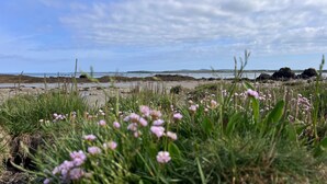 A coastal landscape with rocky terrain and sparse vegetation. - Stylish, Dog Friendly Coastal Bungalow With Garden (Holyhead)