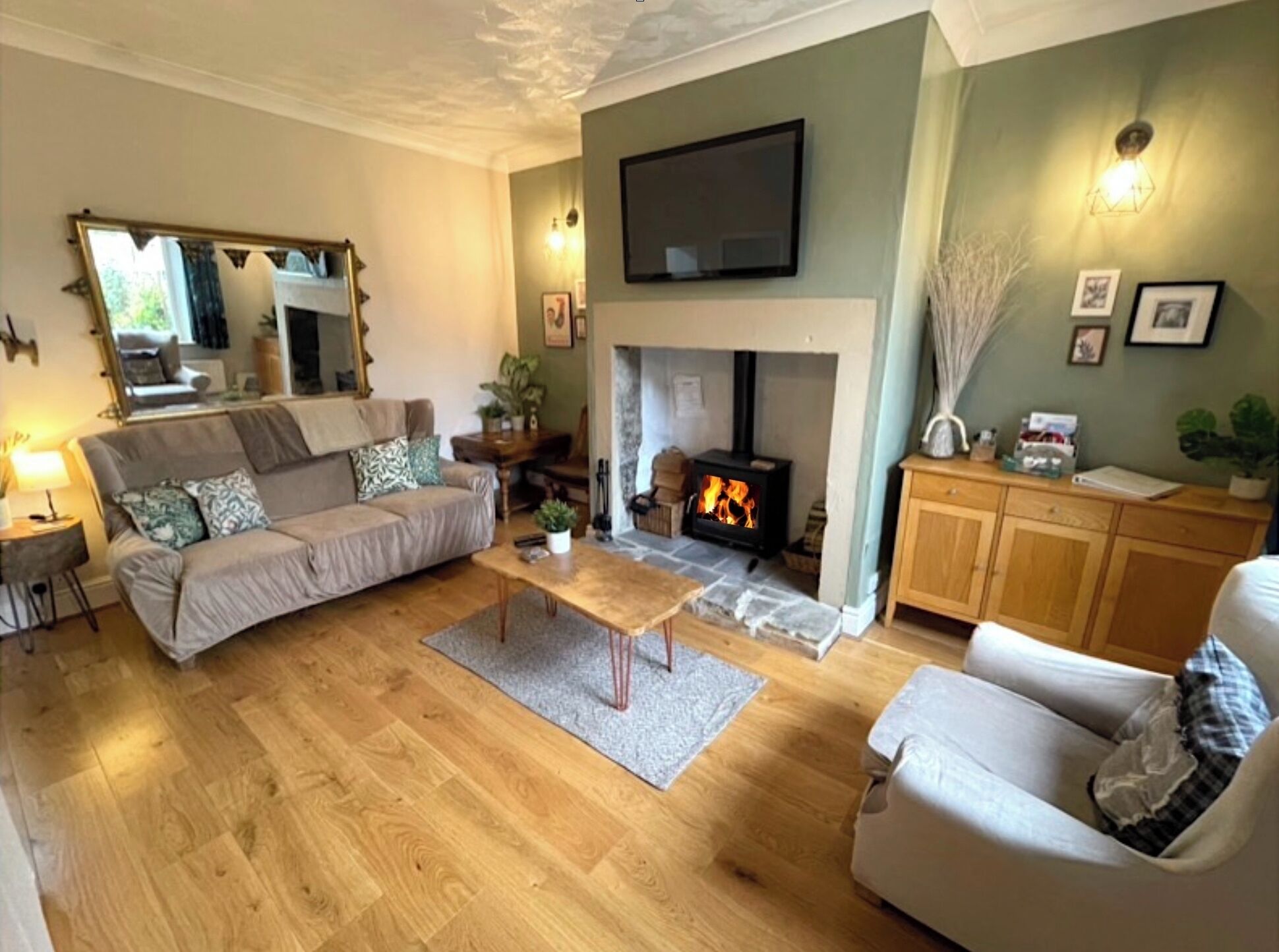 Smart TV, fireplace, books