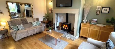 Smart TV, fireplace, books