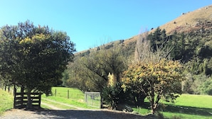 Paisagem rural com uma estrada de terra, um portão de madeira e uma área cercada com árvores e arbustos.