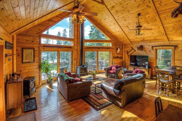 TV, fireplace, DVD player