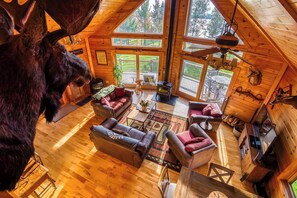 TV, fireplace, DVD player