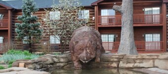 Newer Rustic WiFi Villa by Starved Rock sleeps 7. A guest favorite!!