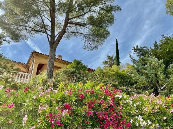 A building with a tiled roof and a balcony, surrounded by lush greenery and flowering plants.