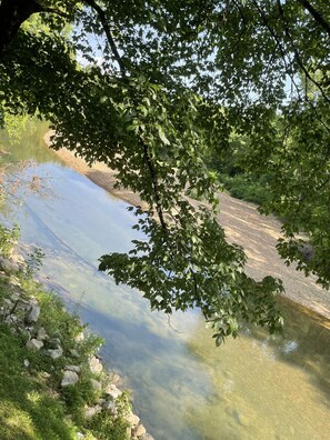 Ein klarer Blick auf einen Fluss mit steilem, felsigen Ufer und dichtem Blätterdach.
