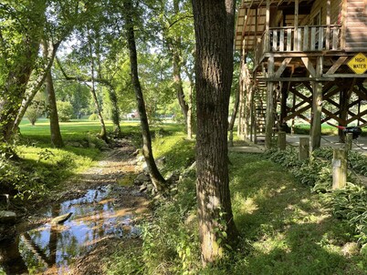 Papa Bears Cozy Cabin at Up The Creek