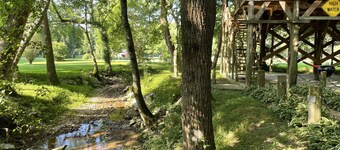 Papa Bears Cozy Cabin at Up The Creek