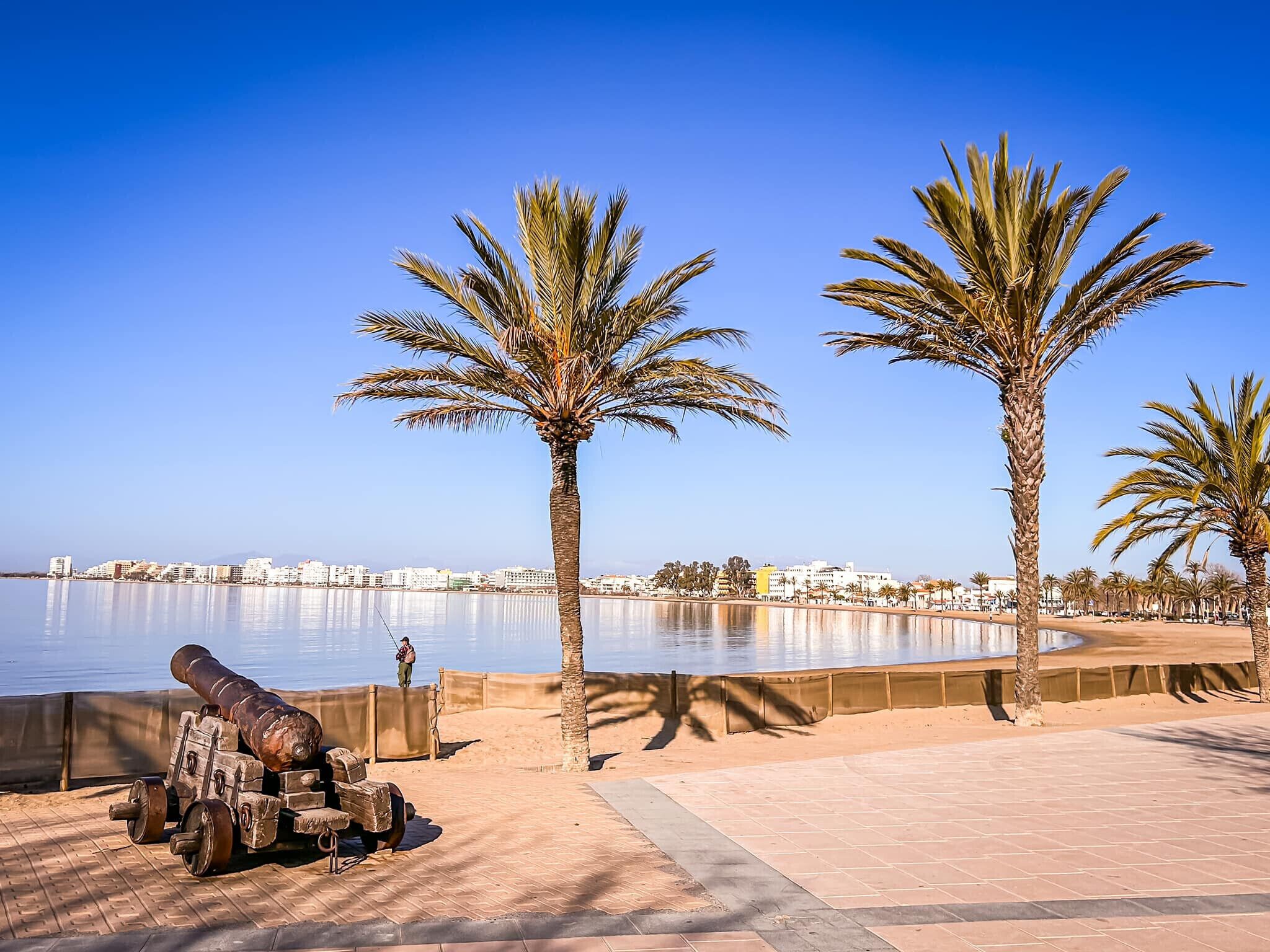 A waterfront promenade with palm trees and a cannon.