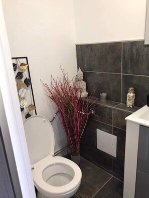 Douche, serviettes fournies, papier toilette