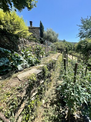 Terrain de lâhĂ©bergement
