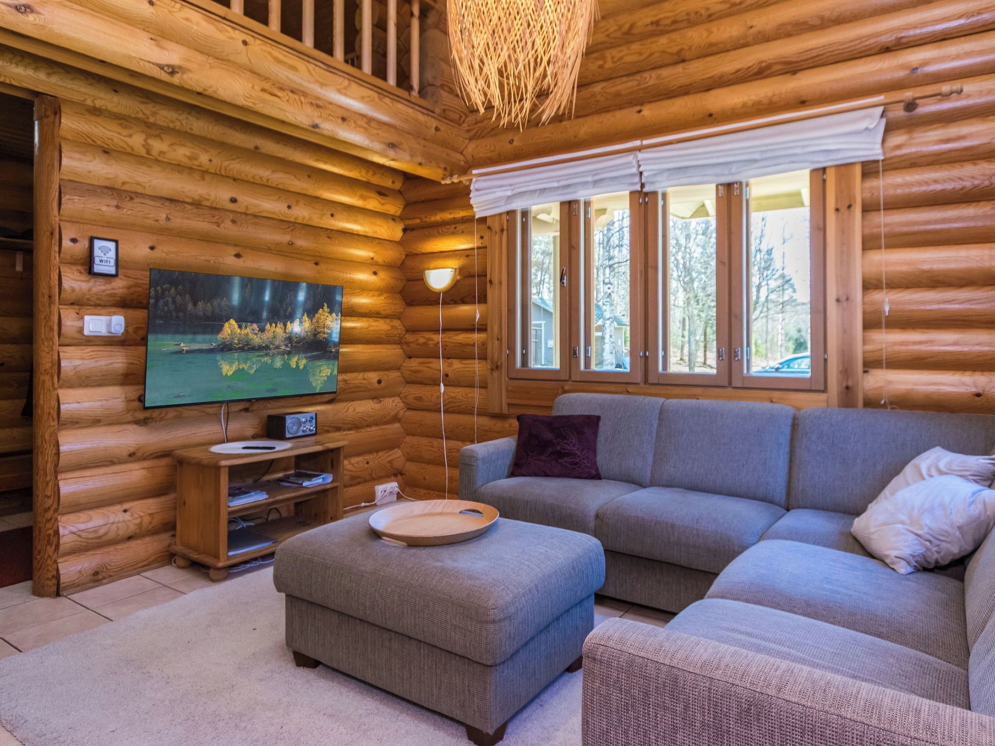 Fernseher