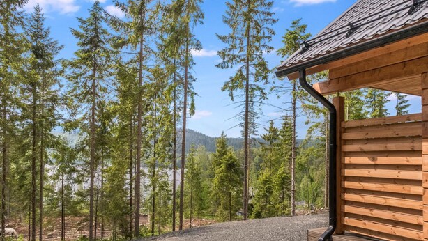 A wooden cabin with a gravel driveway, surrounded by tall pine trees and a clear blue sky.