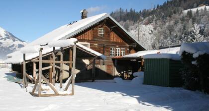 Chalet Bifigen by Interhome
