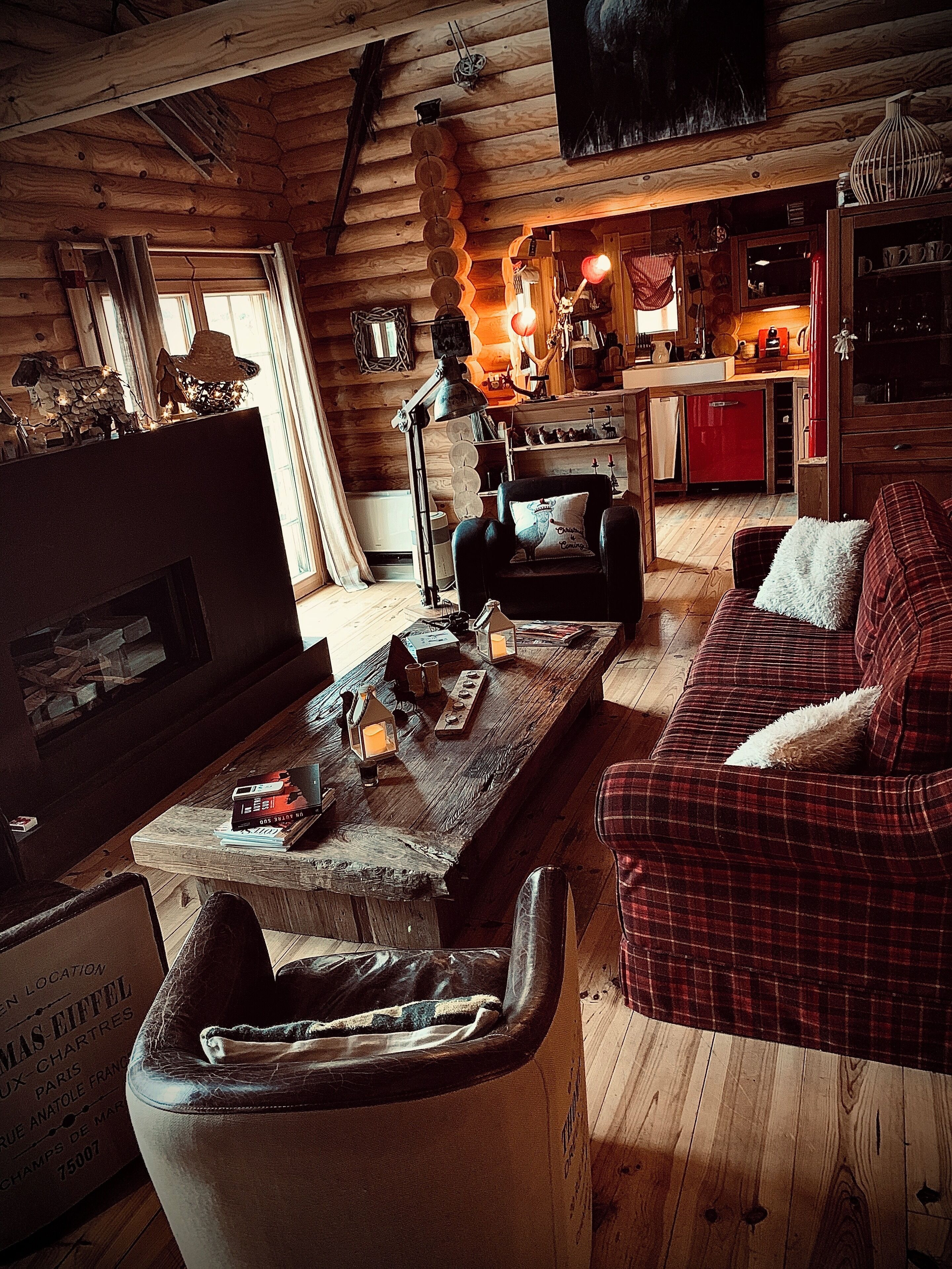 电视、壁炉、DVD 播放器、书