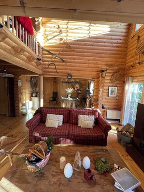 TV, fireplace, DVD player, books