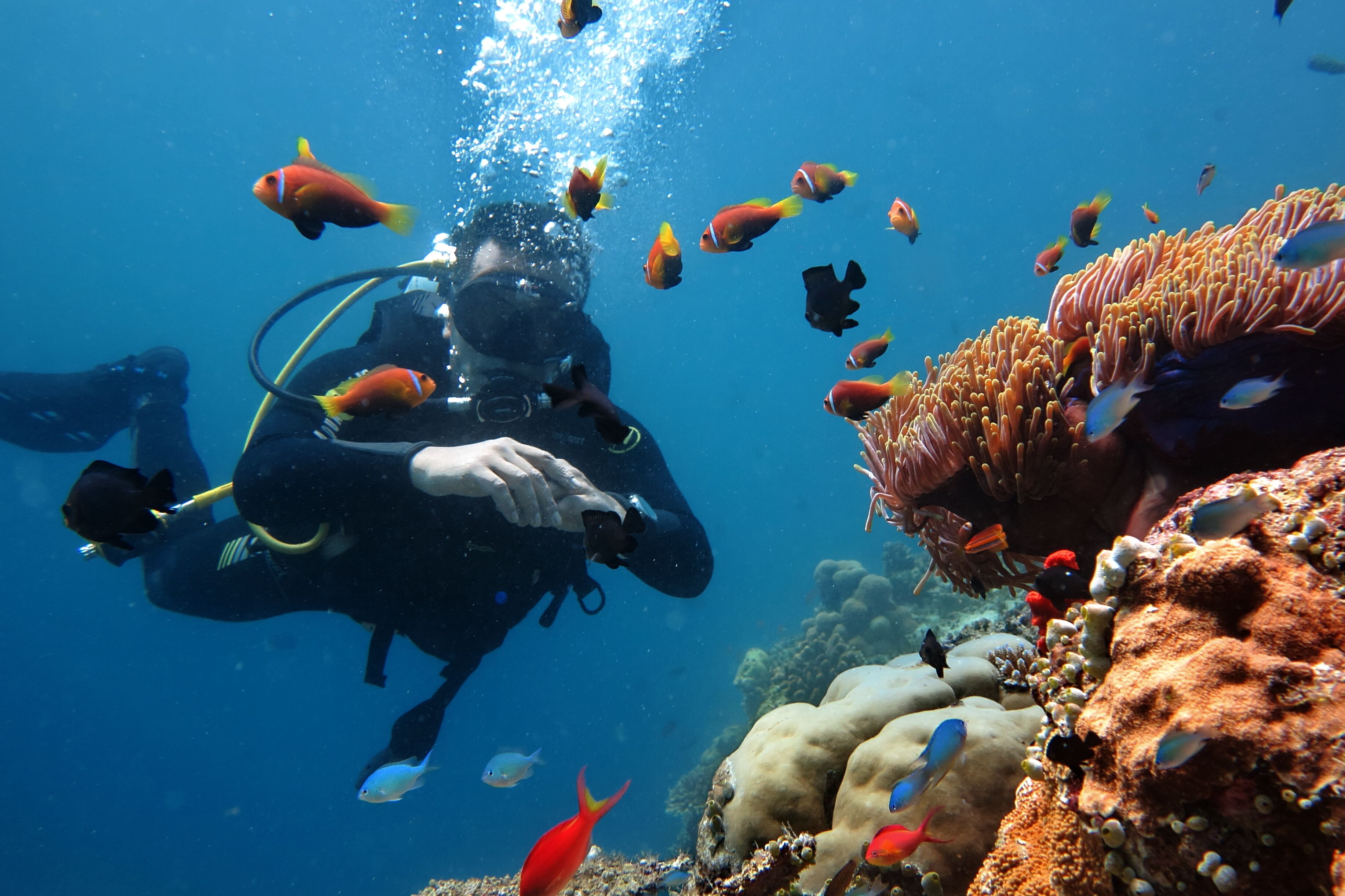 Foto - Triton Prestige Seaview and Spa