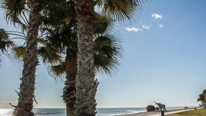 Una playa con palmeras y cielo despejado.