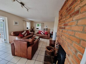 TV connectée, cheminée, lecteur de DVD, livres