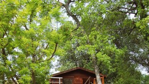 A rustic wooden cabin surrounded by lush greenery and stone pathways. - Villa Capucine (Flayosc)