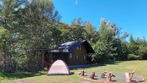 A rustic cabin with a metal roof, surrounded by a grassy area and dense trees.