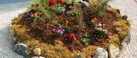 Ein Blumenbeet mit verschiedenen bunten Blumen und Pflanzen, umgeben von weißen Kieselsteinen und Steinen.