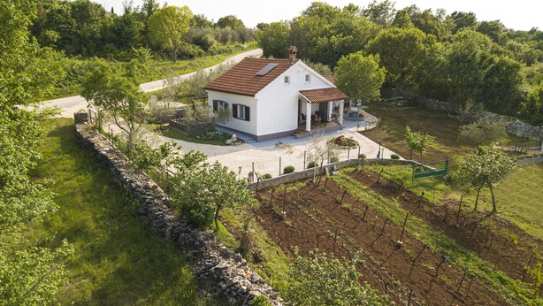 A white house with a tiled roof surrounded by a stone wall and a garden with a vineyard. - Vacation home near Rovinj quiet location with large garden, terrace, WLAN (Mrgani)