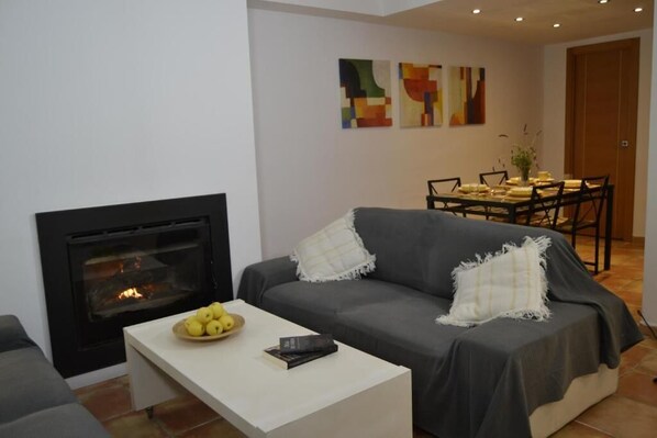 Smart TV, fireplace, books