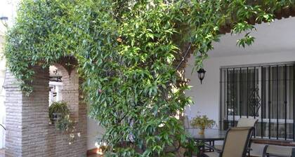 Garden apartment 5 minutes from Granada and the Alhambra!