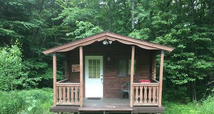 One Room Log Cabin in beautiful Woodland Campground