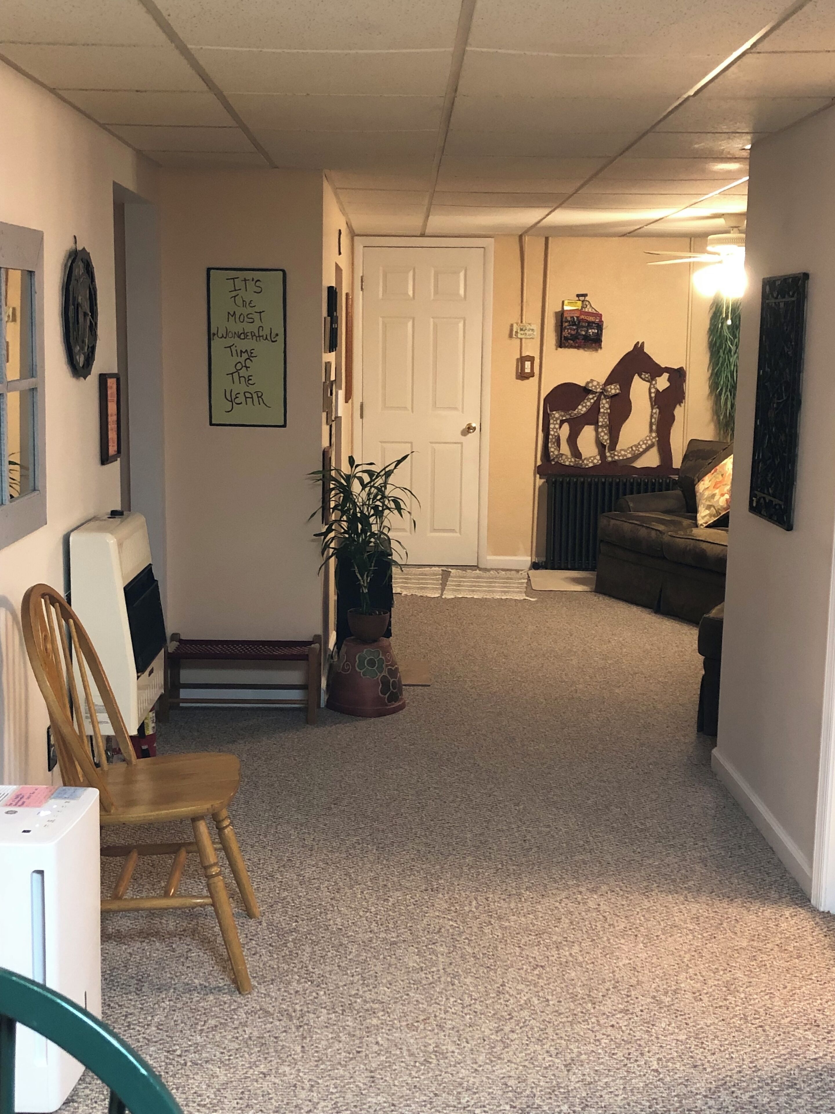 A hallway with a carpeted floor, a wooden chair, a potted plant, a door, and a couch.