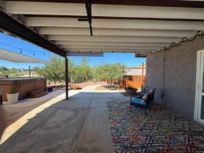 A covered patio area with a concrete floor, a patterned rug, a seating area with a chair and a sofa, and a large planter with a cactus.