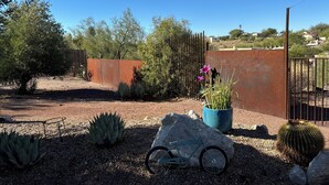 A garden with various cacti and succulents, a metal fence, and a bicycle. - Casita in the Catalina Foothills near Sabino Canyon, The Loop, restaurants, food (Tucson)