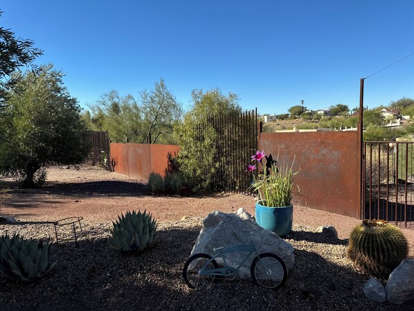A garden with various cacti and succulents, a metal fence, and a bicycle.