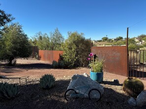 Property grounds - Casita in the Catalina Foothills near Sabino Canyon, The Loop, restaurants, food (Tucson)